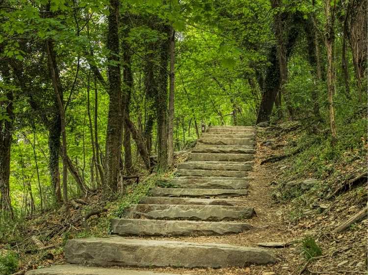 Appalachian National Scenic Trail - National Parks In North Carolina (1)