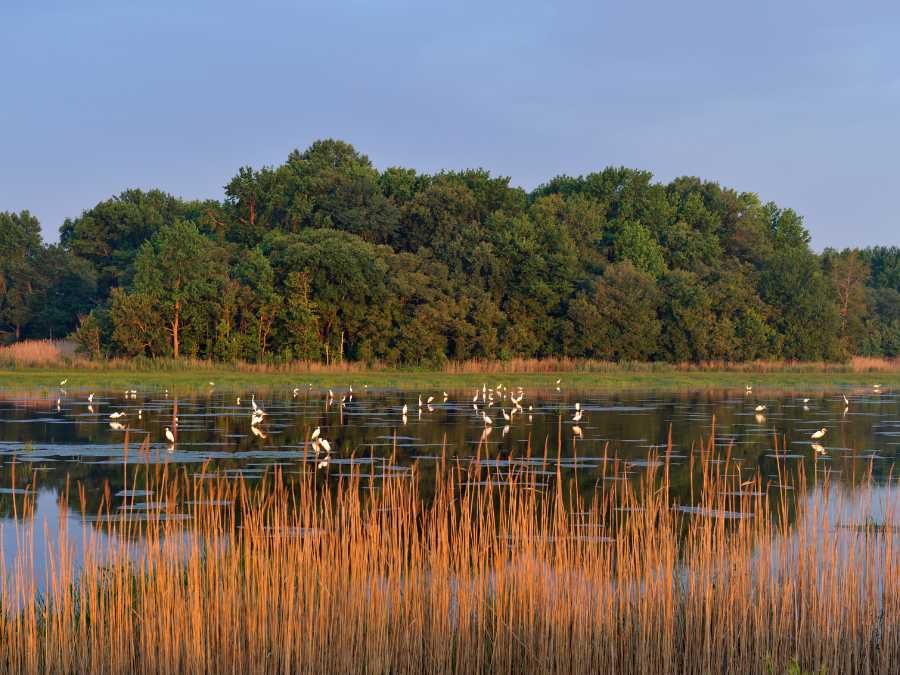 Bombay Hook National Wildlife Refuge - National Parks In Delaware
