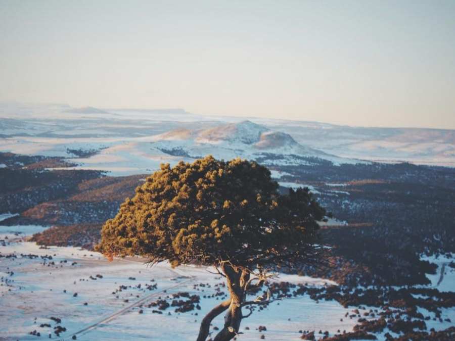 Capulin Volcano National Monument