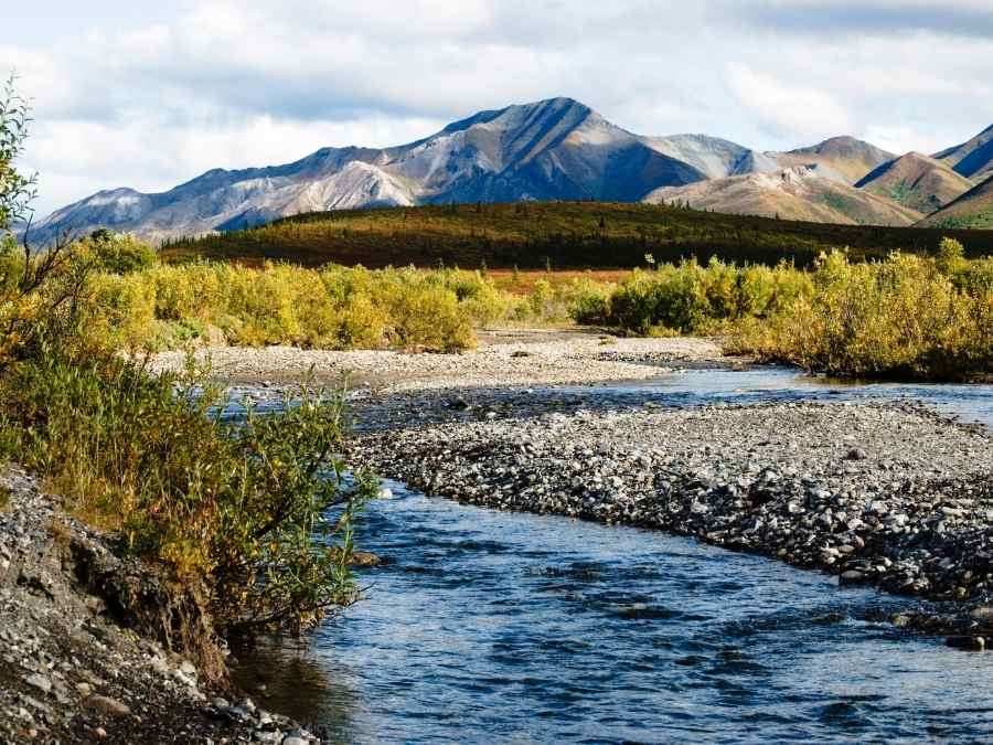 Denali National Park - National Parks In Alaska (1)