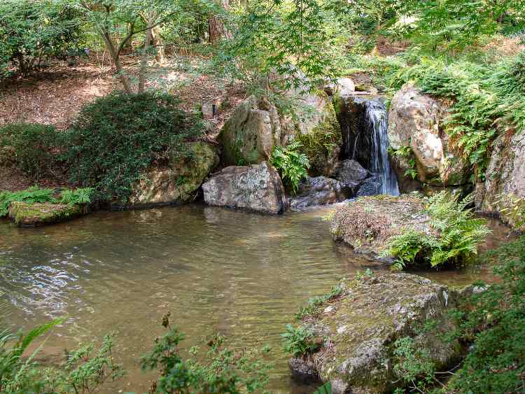 Garvan Woodland Gardens - Arkansas Hot Springs National Park
