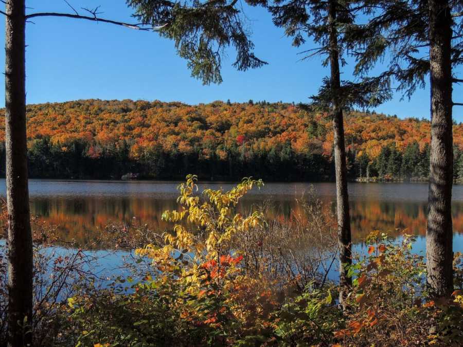 Green Mountain National Forest - National Parks In Vermont (2)