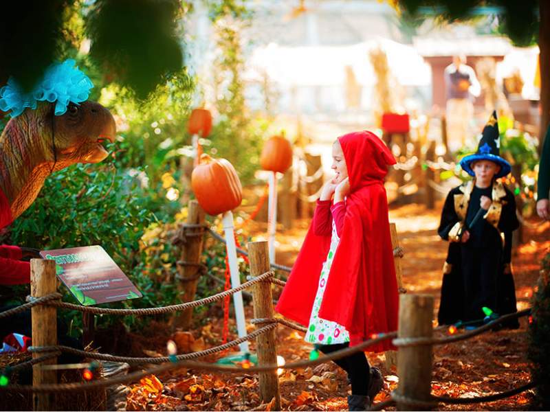 Happy Hauntings in Pennsylvania Dutch Wonderland