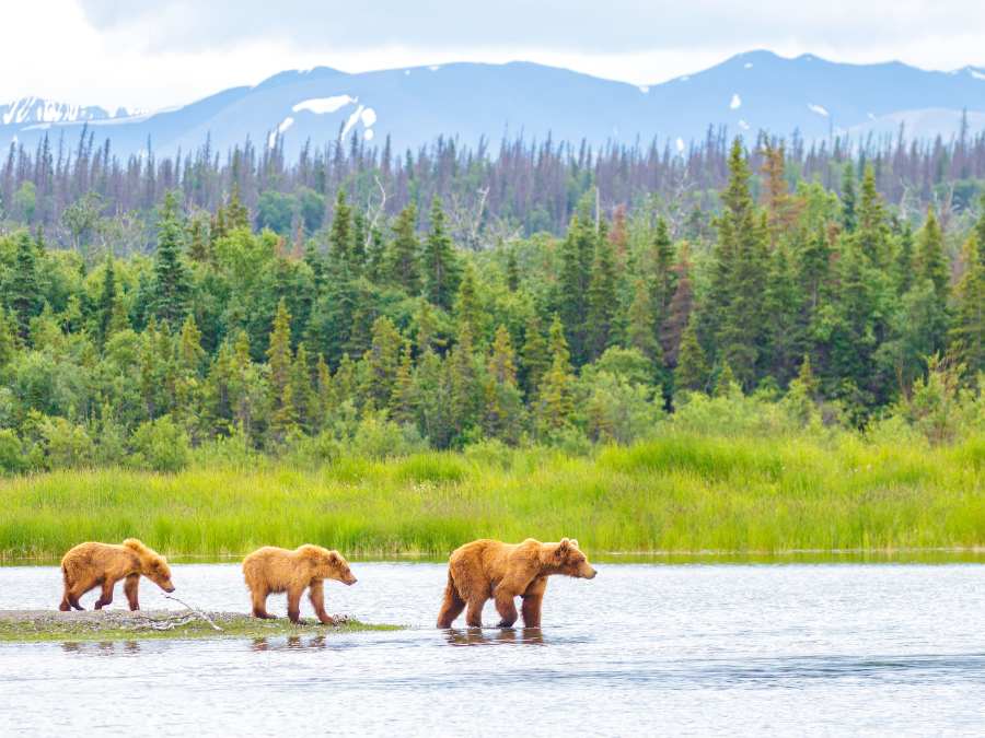 Katmai National Park & Preserve - National Parks In Alaska