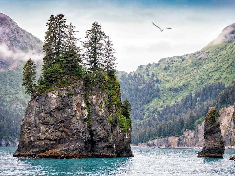 Kenai Fjords National Park - National Parks In Alaska