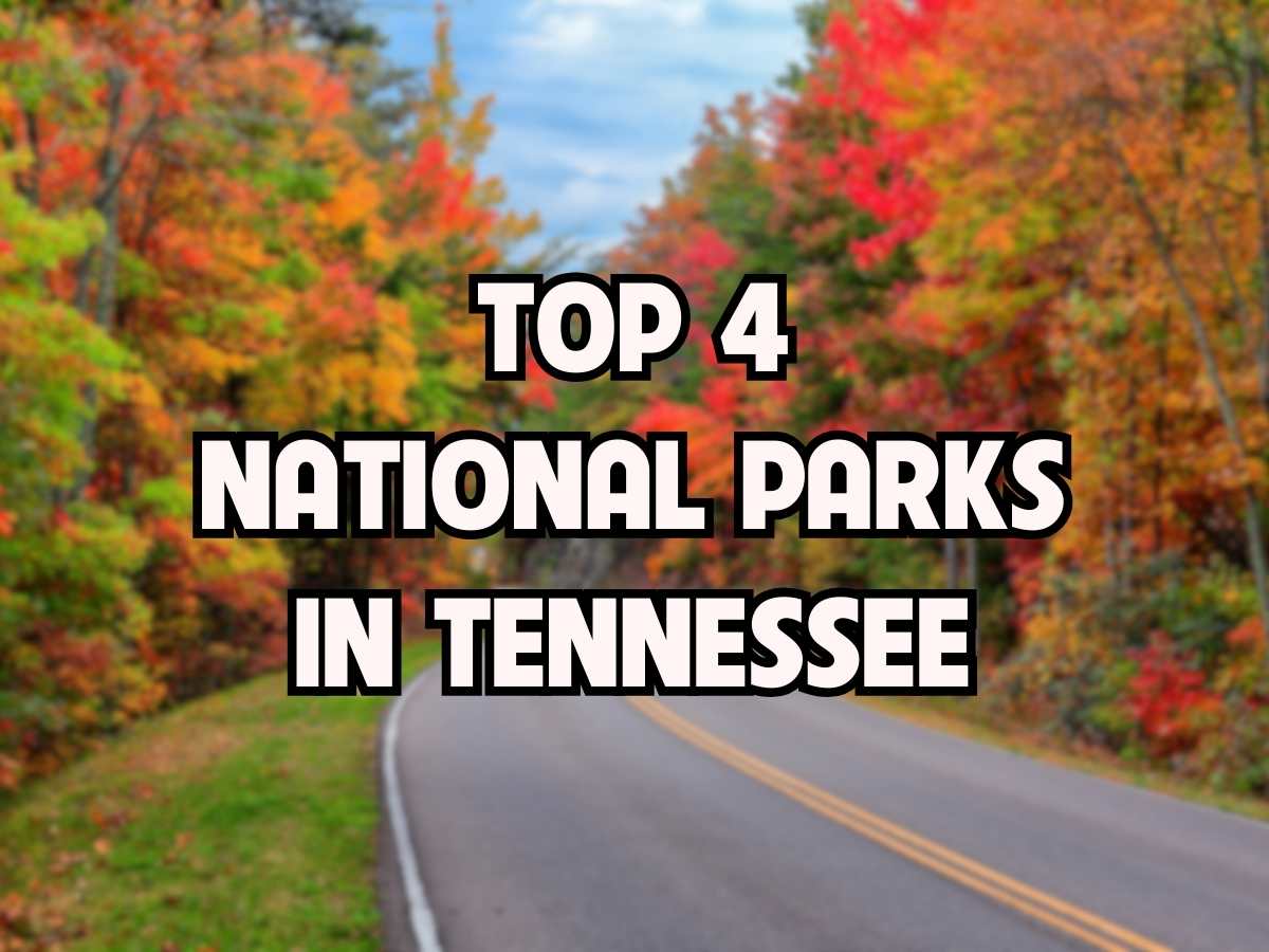 National Parks In Tennessee