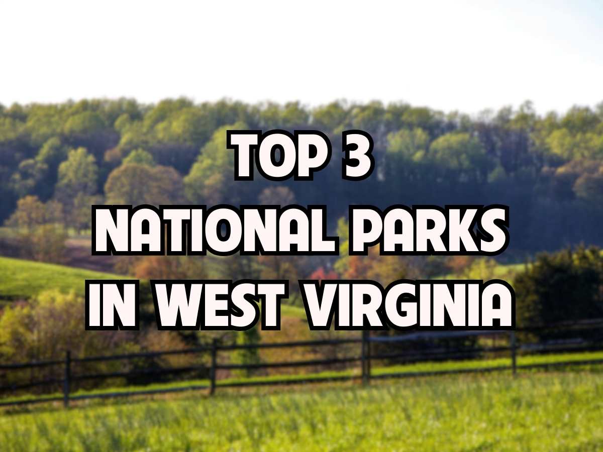 National Parks In West Virginia