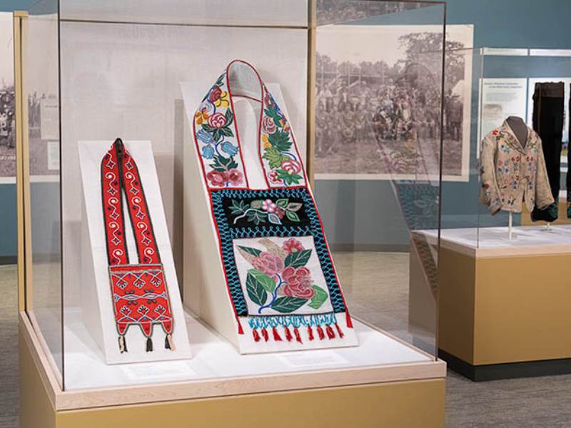“Our Home Native Minnesota” exhibit