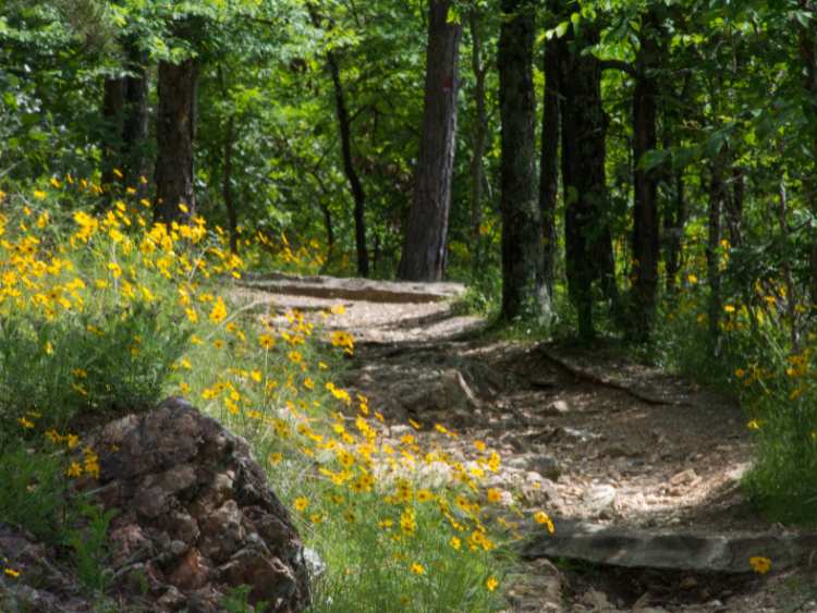 Scenic Hiking Trails - Arkansas Hot Springs National Park