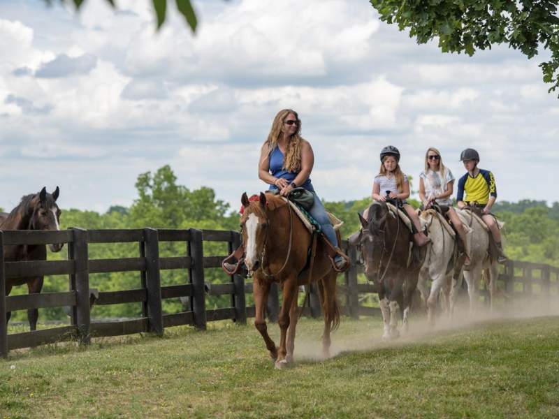 The Kentucky Horse Park in Lexington - Amusement Parks in Kentucky