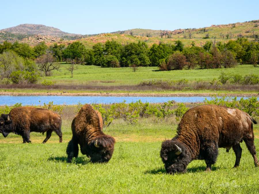 Umbagog National Wildlife Refuge - National Parks In New Hampshire