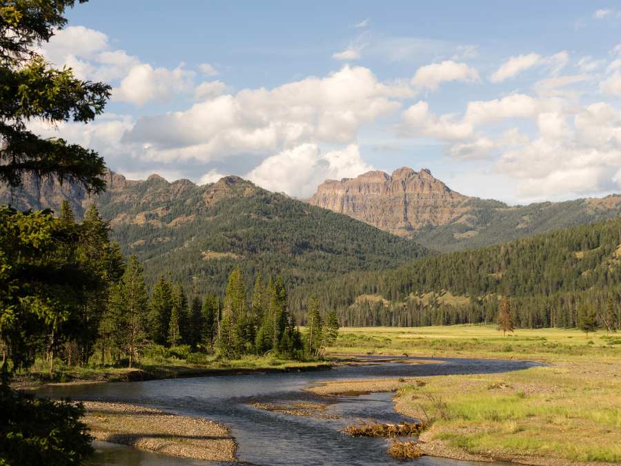 Yellowstone National Park - National Parks In Montana