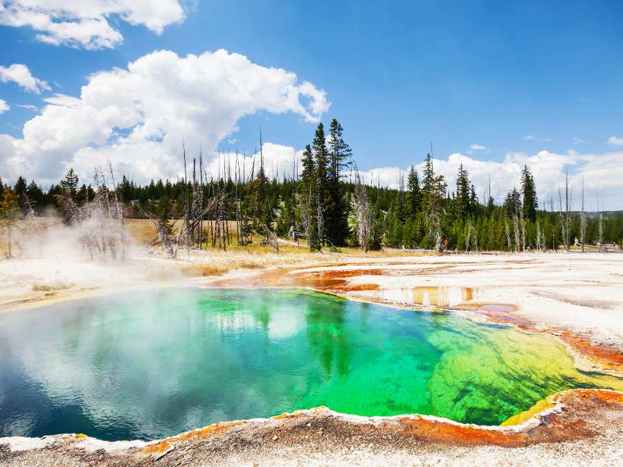 Yellowstone National Park - National Parks In Montana