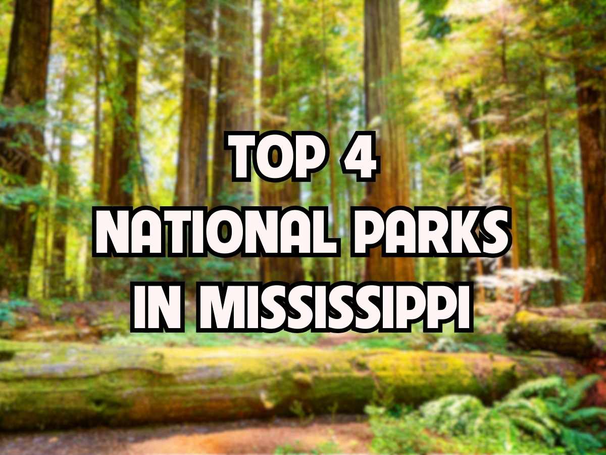 national parks in Mississippi