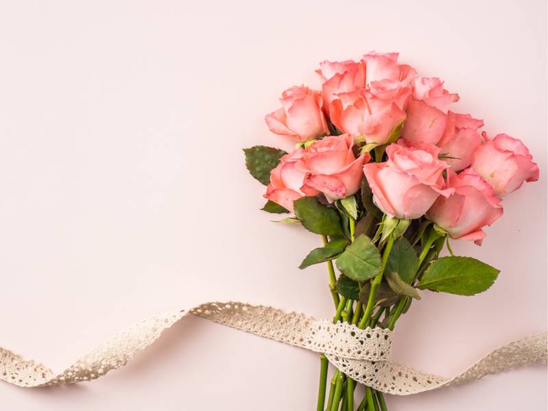 Pink Roses - Elegance and Admiration