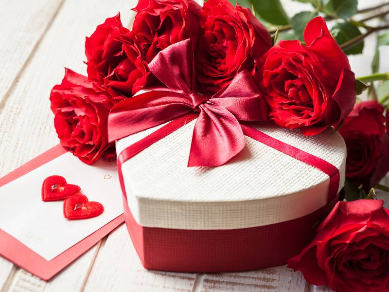 Roses for Valentine’s Day