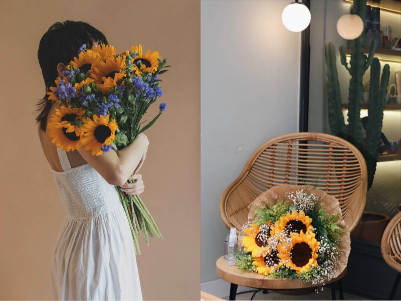 Sunflowers - The Symbol of Warmth and Happiness