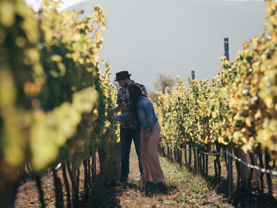 Vineyard or Brewery Visit - Couple’s Ideas For Valentine’s Day