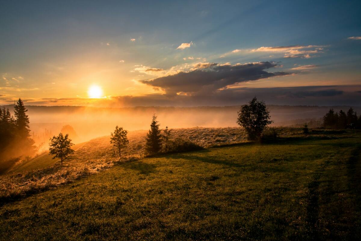 New year phone case ideas scene: sunrise over a misty field, symbolizing a fresh start